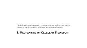 2.B.2 cell transport