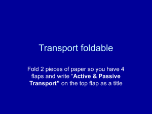 Transport foldable