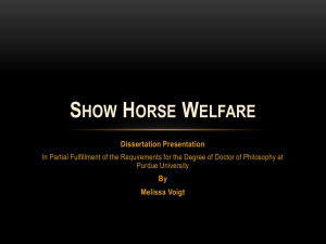 Show Horse Welfare - Youth Development & Agricultural Education