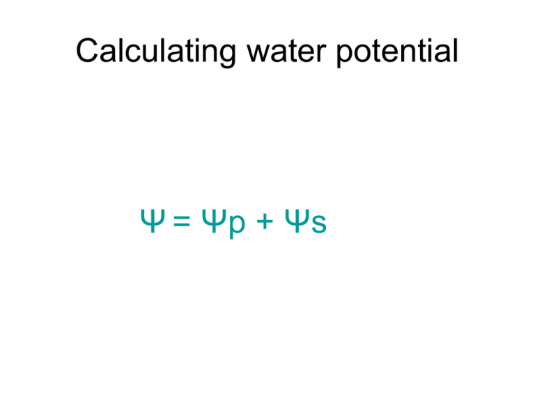 What Happens When Water Potential Is Negative