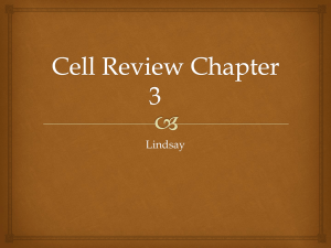 Cell Review
