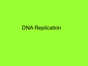 DNA replication powerpoint