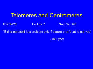 Telomeres and Centromeres