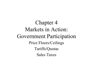 Chapter 4 - Government Participation in Markets