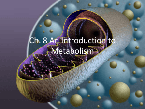Ch. 8 An Introduction to Metabolism