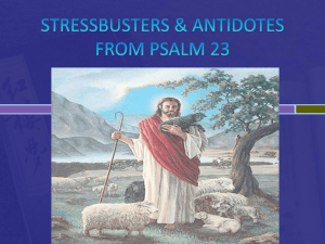 stressbusters & antidotes1