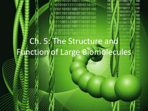 Ch. 5: The Structure and Function of Large