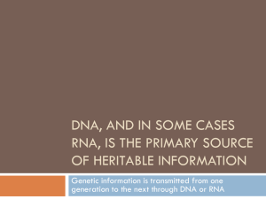 DNA, and in some cases RNA, is the primary source of heritable