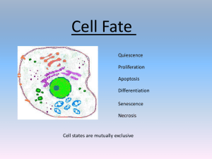 Cell Fate