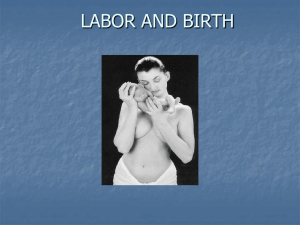 Childbirth Labor and Birth Processes