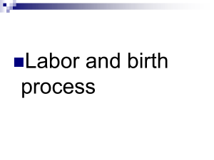 Labor Process