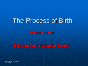 The Process of Birth