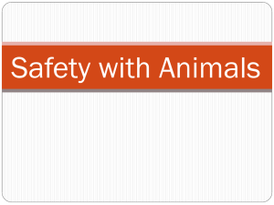 Safety With Animals livestock production