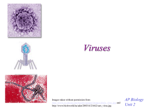 Viruses - mvhs