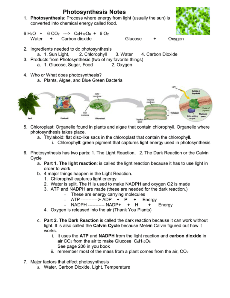 Notes Photosynthesis
