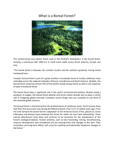 THE BOREAL FOREST - Saskatchewan Forestry Association