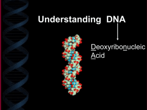 DNA refresher notes