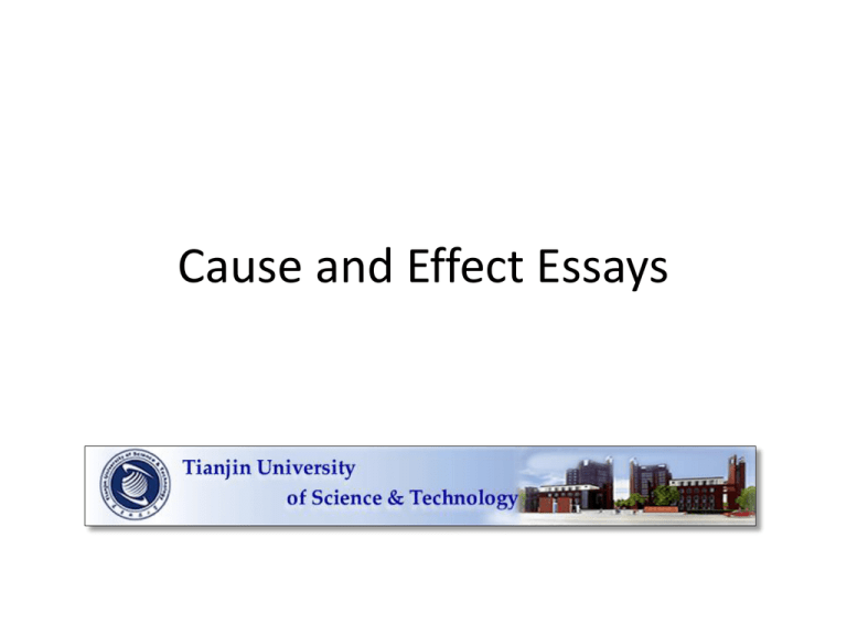 cause and effect essays for high school