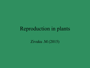 Lecture 11 Reproduction in Angiosperms