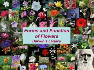 Barrett Darwin & Flowers Roy Soc May 09