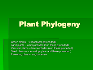 Plant Phylogeny - Montana State University Billings