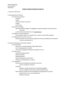 BIO 330 Cell Biology Lecture Outline Spring 2011 Chapter 13