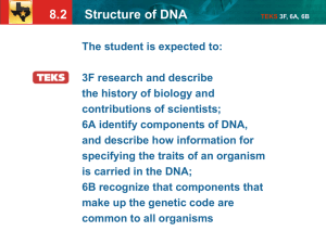 8.2 Structure of DNA TEKS 3F, 6A, 6B