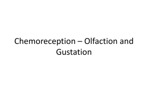 Chemoreception * Olfaction and Gustation