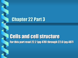 LS CH 22 part 3 - cell strucutre