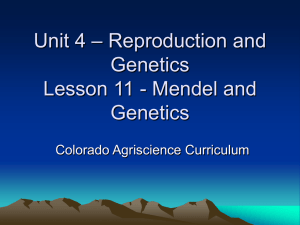 Unit: Genetics Lesson: Genes & Traits