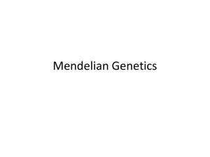 Intro to Mendelian Genetics