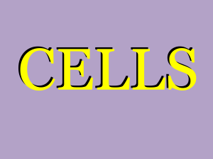 Cell Types and Organelles PPT