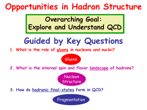 QCD_Hadron_LRP07_Ent