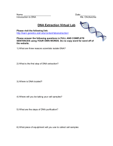 DNA Extraction Virtual Lab