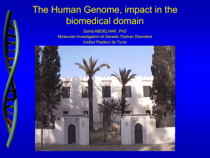 The human genome: impact in the biomedical