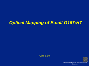 Optical Mapping of E