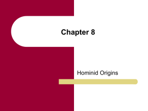 Chapter 8 Hominid Origins