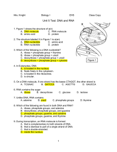 Mrs. Knight Biology I EHS Class Copy Unit 5 Test: DNA and RNA 1
