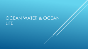 Ocean water & ocean life