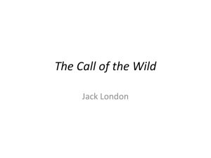 The Call of the Wild ongoing