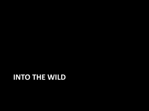 Into the Wild, Post Viewing film trivia