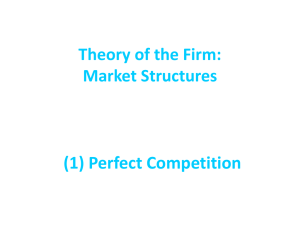 Chapter 6: Theory of the Firm: Costs, Revenues and Profits and
