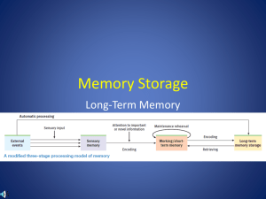 Module 32: LTM & Biology of Memory PP Notes