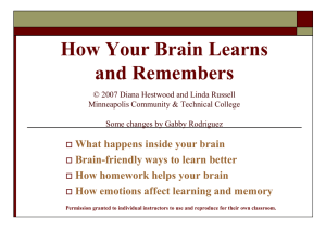 how your brain learns