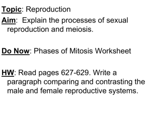 TOPIC: Reproduction & Development AIM: What is sexual