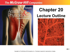 Chapter 20 - Dr. Wilson's Site