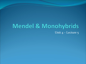 Mendel & Monohybrids - Fulton County Schools