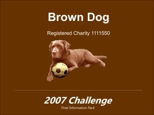 DOGS DINNER - Brown Dog Charity