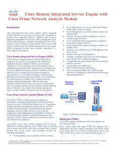 RISE with Prime NAM White Paper