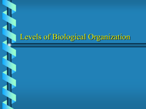 Levels of Biological Organization